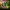 S3D Creeper - Articulado