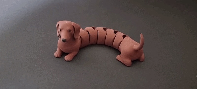 Articulated dachshund flexi multi color