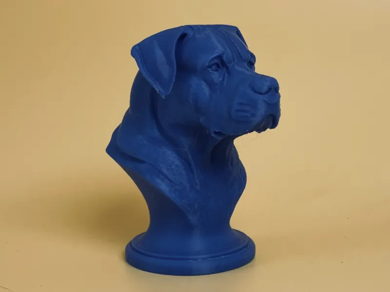 Cane Corso Bust