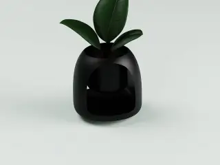 plant pot