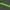 Golf Tee F117