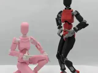 Lady Dummy
