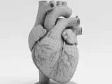 Heart / Herz-0