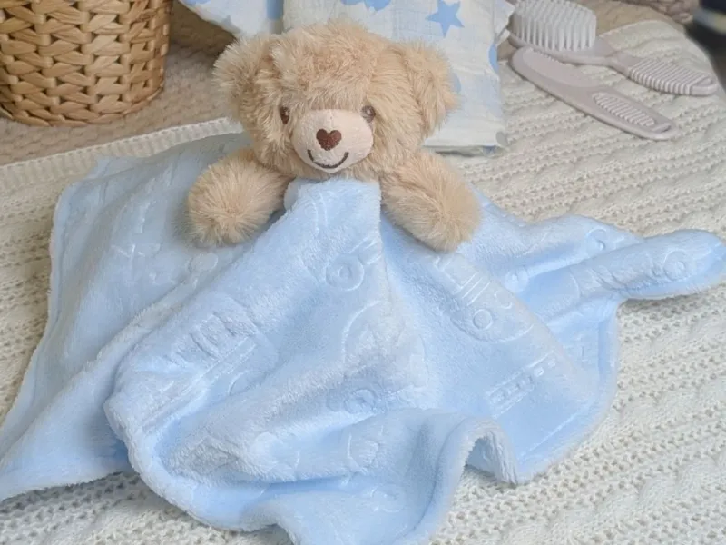 Bear in Blanket