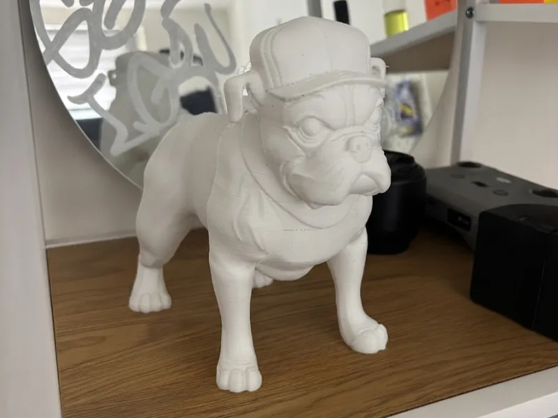 Bulldog con un Cappello Figo 😎