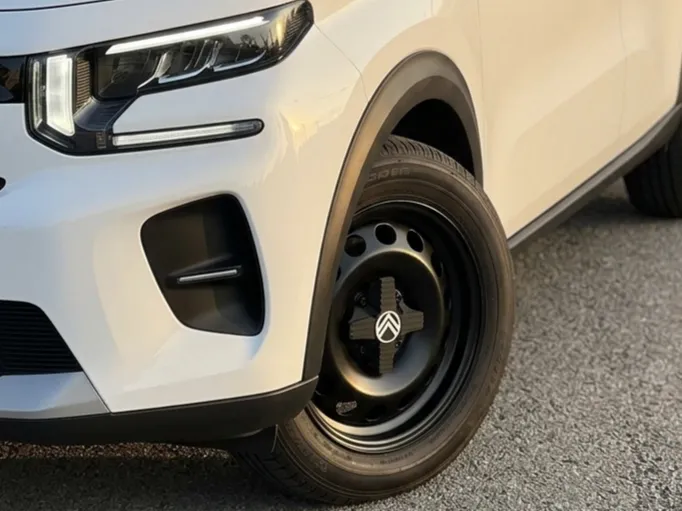 Citroen Custom Center Cap for 16" Steel Rims (4x108)