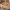 Проект Pizza ClickerMaker