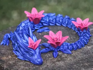 Lily Dragon