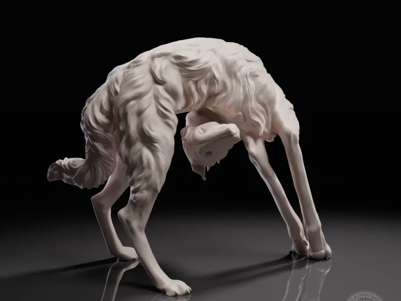 Playing borzoi