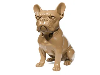 French Bulldog 2