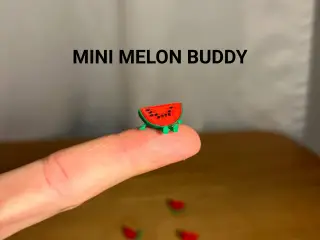 Mini Melon Buddy