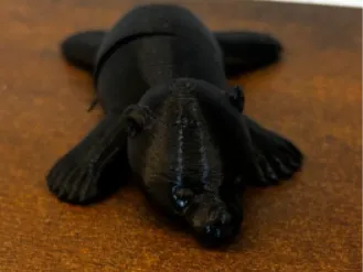 Flexi Sunbear