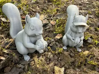 Squirrel with a nut and a hat