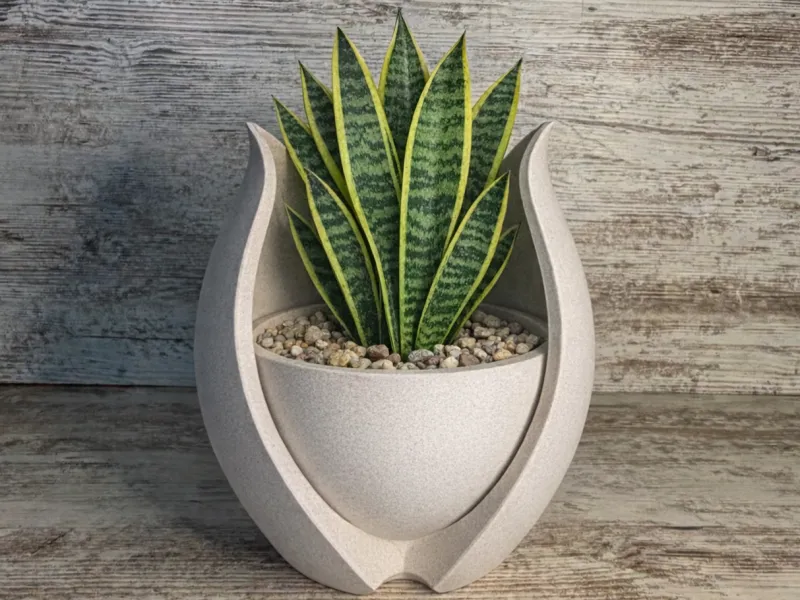 Blooming Tulip Planter