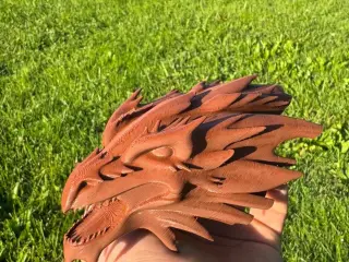 Dragon head