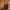 Barril _ Punk _ 2