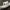 Wedding Boat - Romantic Gondola