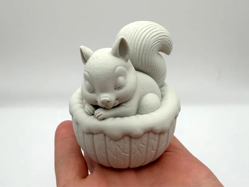 Cute Sleeping Squirrel