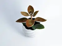 Modern Plant Pot "Diluvian" as succult planters / big pot-1