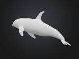 Orca-0