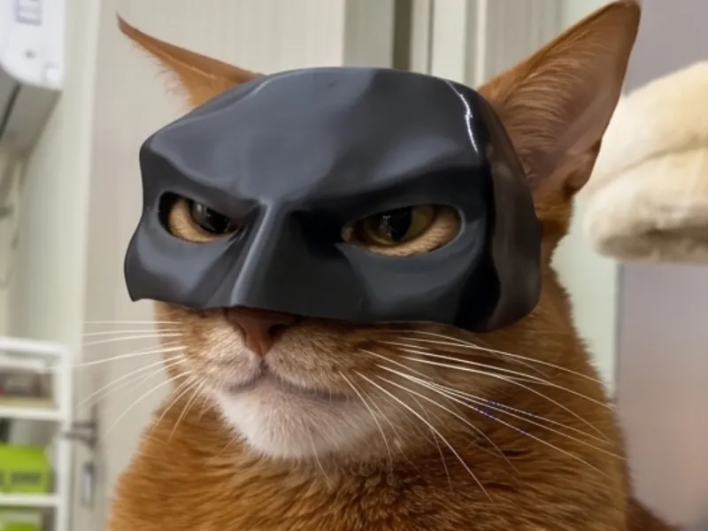 Máscara de Gato Murciélago de Superhéroe Oscuro
