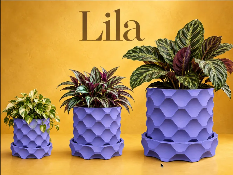 Lila - 鱼鳞花盆