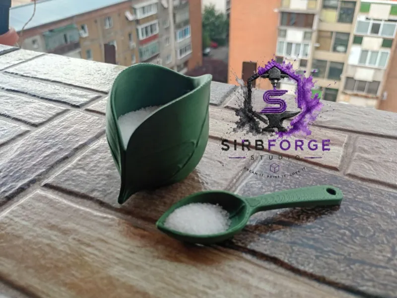 🍃 Leaf Salt & Pepper Holder🍃