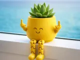 Flexi Middle Finger Planter | Articulated Smiley Plant Pot-0