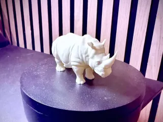 Rhino/Rhinoceros – Dungeons & Dragons monster