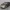 Honda Civic EX 2016