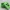 Minecraft Creeper Trinket Box / Eraser Box / School Supplies