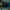 โรงพยาบาลสัตว์ Roblox — ปีศาจกล้อง! 🐈‍⬛📸