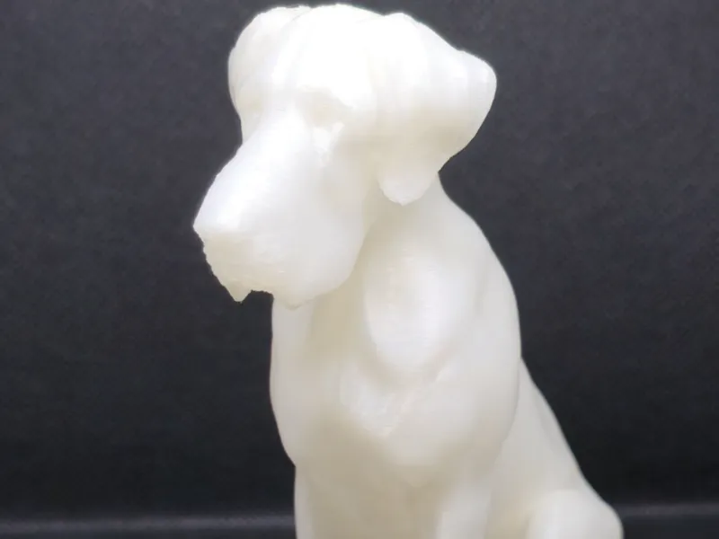 Büyük Danua köpeği