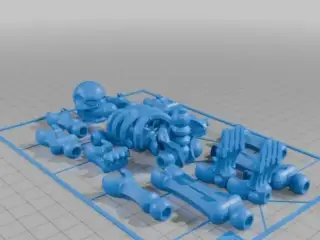 Skeleton 