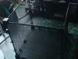 spawning tank fish-0