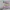 Набор винтов и гаек, модель M
