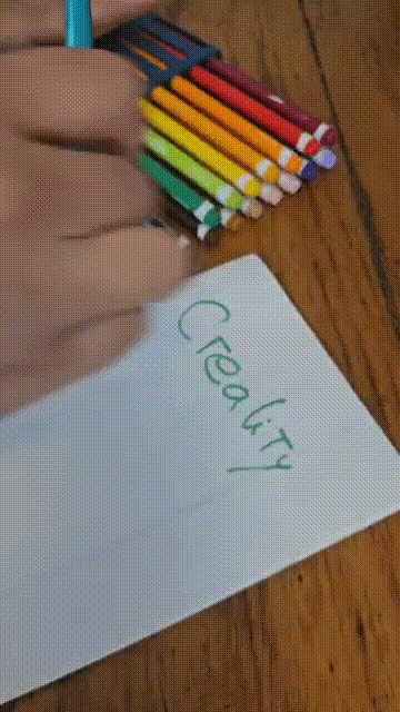 Organizador de Tampas de Canetinhas Mondo Llama (Target)