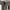 Minecraftの牛