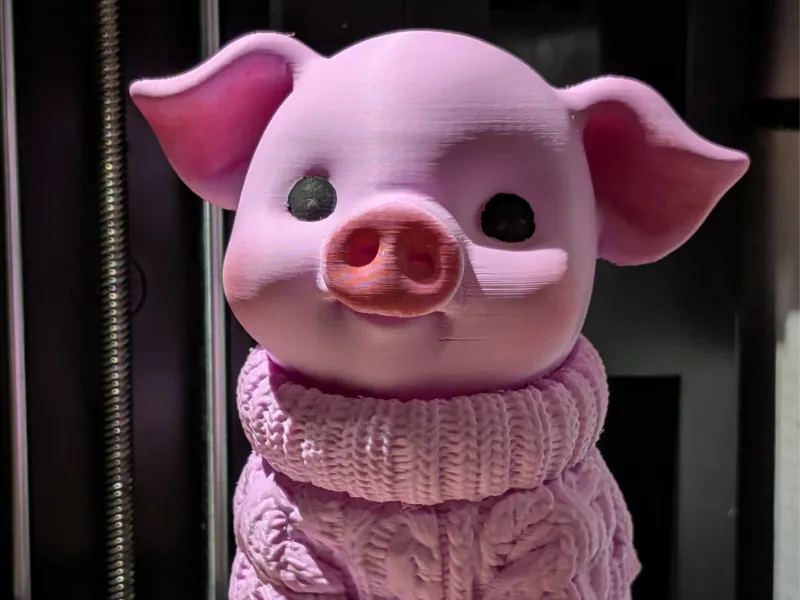 Porcușor călduros într-un pulover 🐷