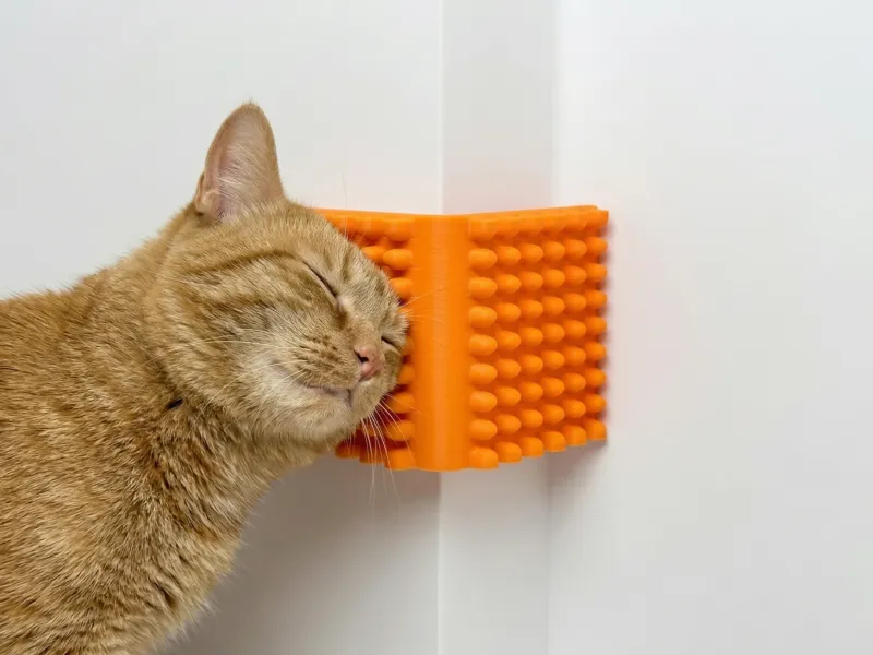 猫狗用墙角搔抓