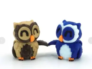 Tiny Owl