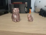 Cat-0