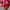 One Piece Chopper Funko POP