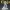 Tibia Warrior – Classic MMORPG Knight Figurine