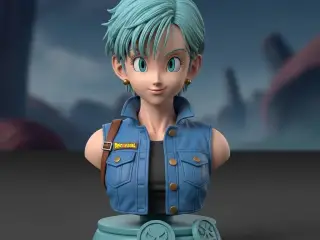 Bulma Estatua