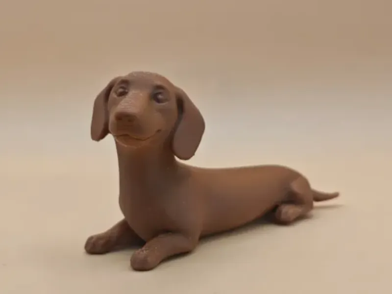 Dashond - Teckel - Dierencollectie