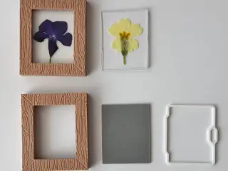 Photoframe for dried plants