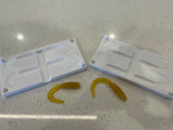Fish lure mold-0