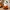 Boo on a Pumpkin – Cute Halloween Decor