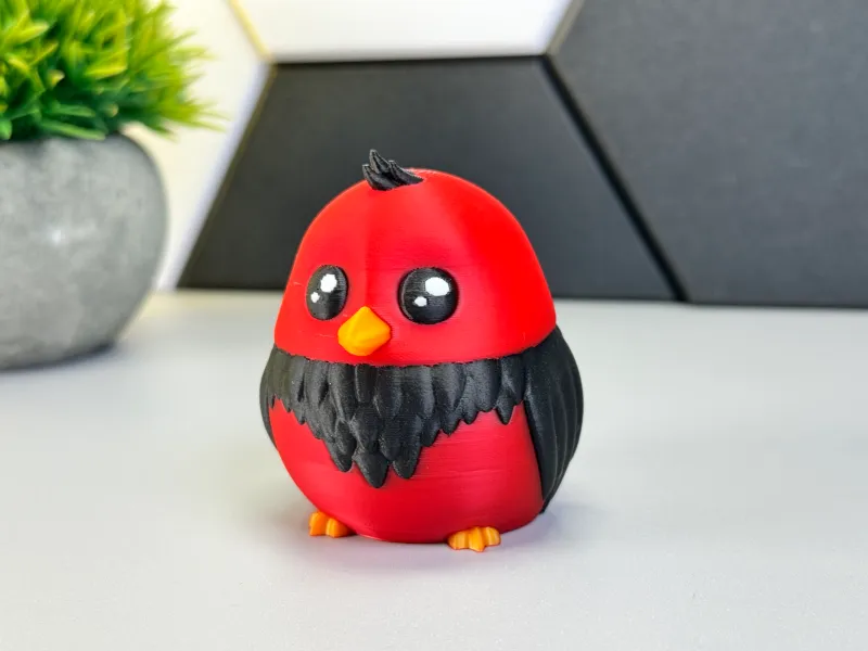 Cute Bird